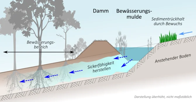 Skizze Bewässerungsmulde